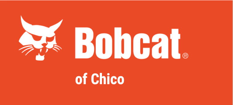 bobcat of chico